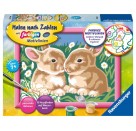 Ravensburger 276950 Malen nach Zahlen Niedliche Häschen