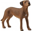 Schleich Farm World 13895 Rhodesian Ridgeback