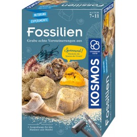 Kosmos Fossilien