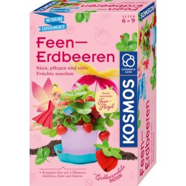 Kosmos Feen-Erdbeeren