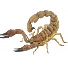 Skorpion