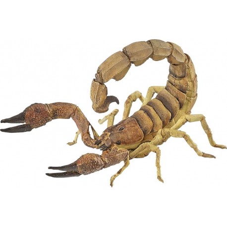 Skorpion