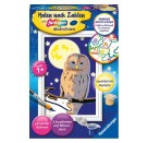 Ravensburger 28772 Malen nach Zahlen Nachteule