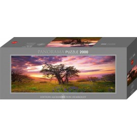 HEYE Panoramapuzzle - Alexander von Humboldt - Oak Tree - 2000 Teile