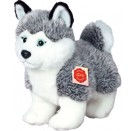 Teddy Hermann Husky stehend, ca. 23 cm