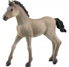 Schleich Horse Club 13949 Criollo Definitivo Fohlen