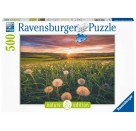 Ravensburger 16990 Puzzle Pusteblumen im Sonnenuntergang 500 Teile