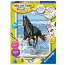 Ravensburger 28565 Malen nach Zahlen: Pferd am Strand