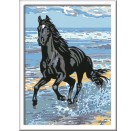Ravensburger 28565 Malen nach Zahlen: Pferd am Strand