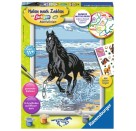 Ravensburger 28565 Malen nach Zahlen: Pferd am Strand