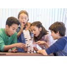Hasbro A2120EU4 - Jenga Classic