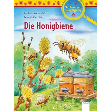 Reichenstetter, Friederun/Döring, Hans-Günther: Sachwissen für Erstleser – Die Honigbiene