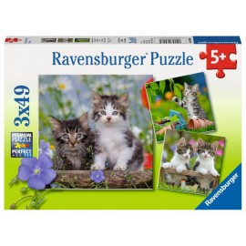Ravensburger 08046 Puzzle Süße Samtpfötchen 3x49 Teile