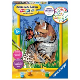 Ravensburger 28651 Malen nach Zahlen Katze mit Schmetterling