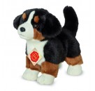 Teddy Hermann Berner Sennenhund Welpe stehend, 23 cm