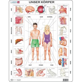 Puzzle Unser Körper 35 Teile