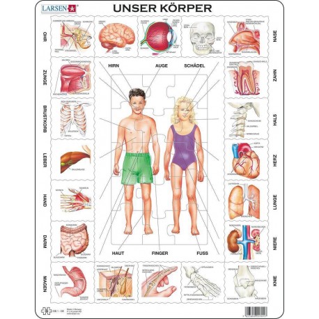 Puzzle Unser Körper 35 Teile