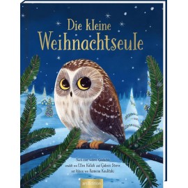 Die kleine Weihnachtseule