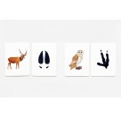 Tiere in deiner Umgebung
