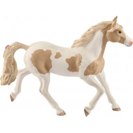 Paint Horse Stute