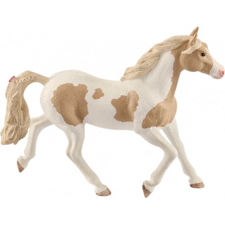Paint Horse Stute