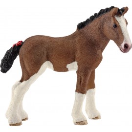 Clydesdale Fohlen
