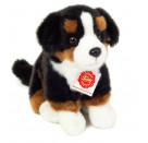 Teddy Hermann Berner Sennenhund sitzend, 21 cm