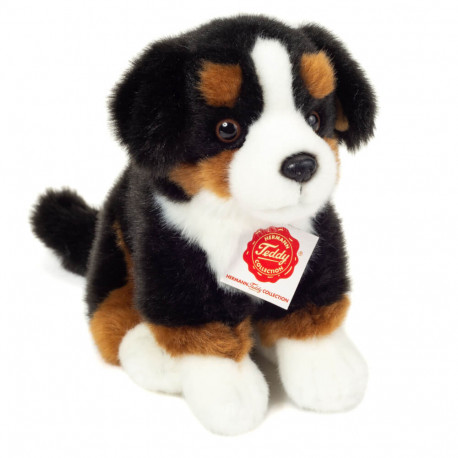 Teddy Hermann Berner Sennenhund sitzend, 21 cm