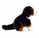 Teddy Hermann Berner Sennenhund sitzend, 21 cm