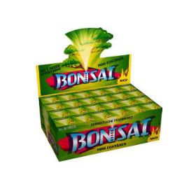 Bonsai, 1er Schacht.Fontäne