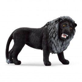 Black Lion,roaring
