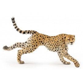 Laufende Gepardin