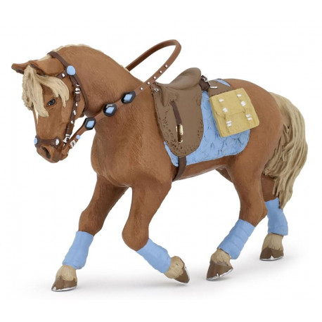 Pferd des jungen Reiters