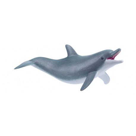 Spielender Delphin
