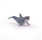 Spielender Delphin