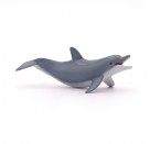 Spielender Delphin