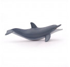 Spielender Delphin
