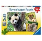 Ravensburger Kinderpuzzle - 05666 Panda, Tiger und Löwe - 3x49 Teile Puzzle für Kinder ab 5 Jahren