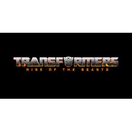 Hasbro F38985L0 Transformers Movie 7 New Transformation 20, sortiert