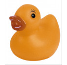 Mini Ente