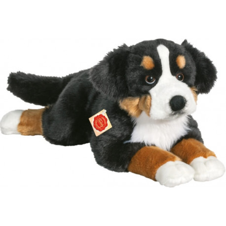 Teddy Hermann Berner Sennenhund, ca. 60 cm