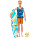 Barbie Ken Surf  Doll + Accy