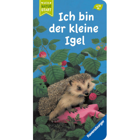 Ich bin der kleine Igel