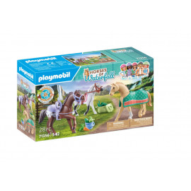 PLAYMOBIL 71360 Himmlische Babywolke