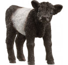 schleich® FARM WORLD 13969 Galloway Kalb