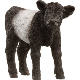 schleich® FARM WORLD 13969 Galloway Kalb