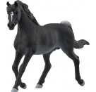 schleich® HORSE CLUB 13981 Araber Hengst