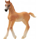 schleich® HORSE CLUB 13984 Araber Fohlen