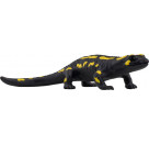 schleich® WILD LIFE 14870 Feuersalamander