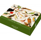Puzzle Illustrierte Tierwelt (1000 Teile)
